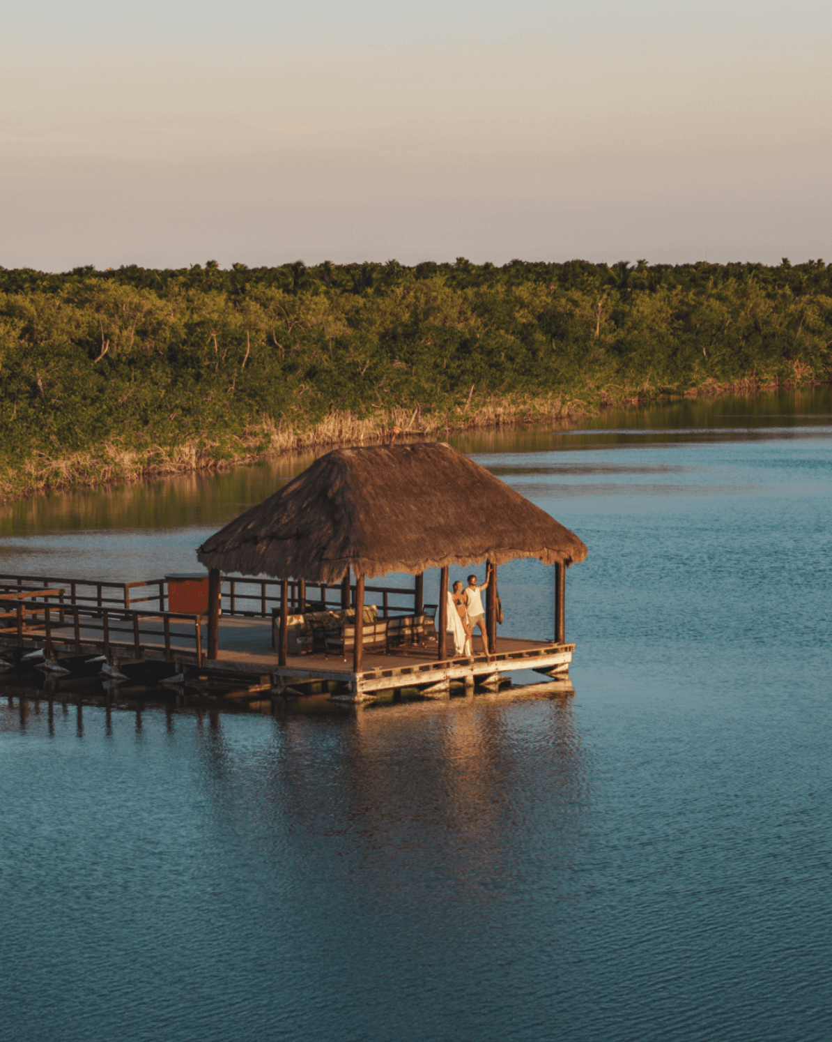 Expansion and Innovation